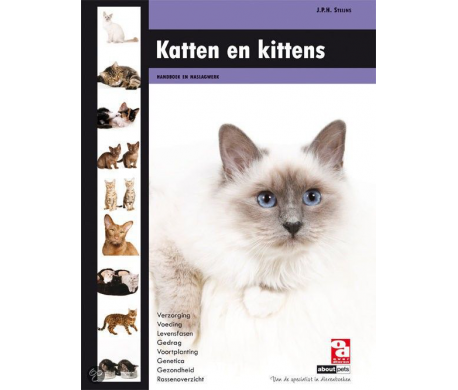 Katten en kittens