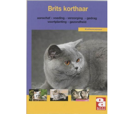 Brits korthaar Brits korthaar