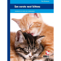 Een eerste nest kittens