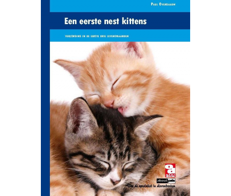 Een eerste nest kittens