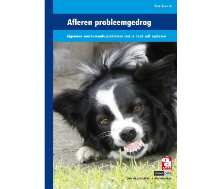 Afleren probleemgedrag