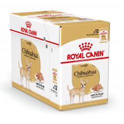 Royal Canin Chihuahua Adult Gravy
