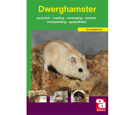 Dwerghamster Dwerghamster