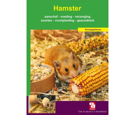 Hamster Hamster