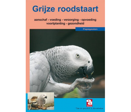 Grijze roodstaart