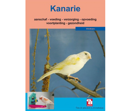 Kanarie Kanarie