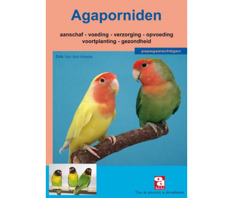 Agaporniden Agaporniden