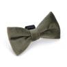 Designed by Lotte Hondenstrik Zaza Groen
