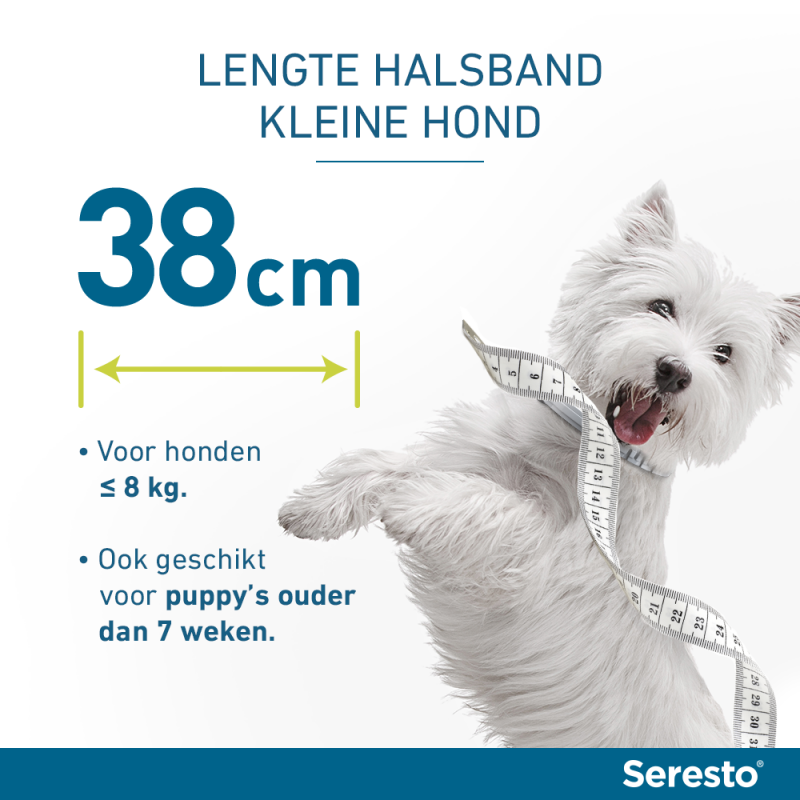 Seresto Halsband Honden kopen? | Dierenverblijf.com