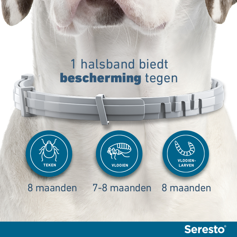Remmen binnen misdrijf Seresto Halsband voor Honden kopen? | Dierenverblijf.com