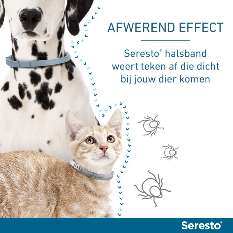stereo Verfrissend Tol Seresto halsband voor Katten kopen? | Dierenverblijf.com