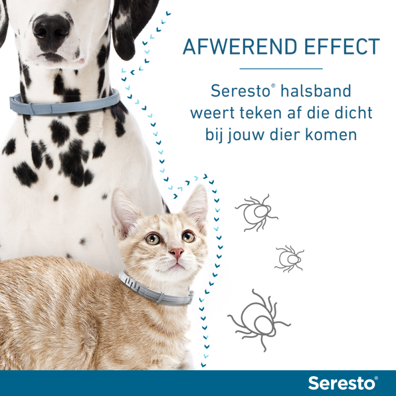 Seresto halsband voor Dierenverblijf.com