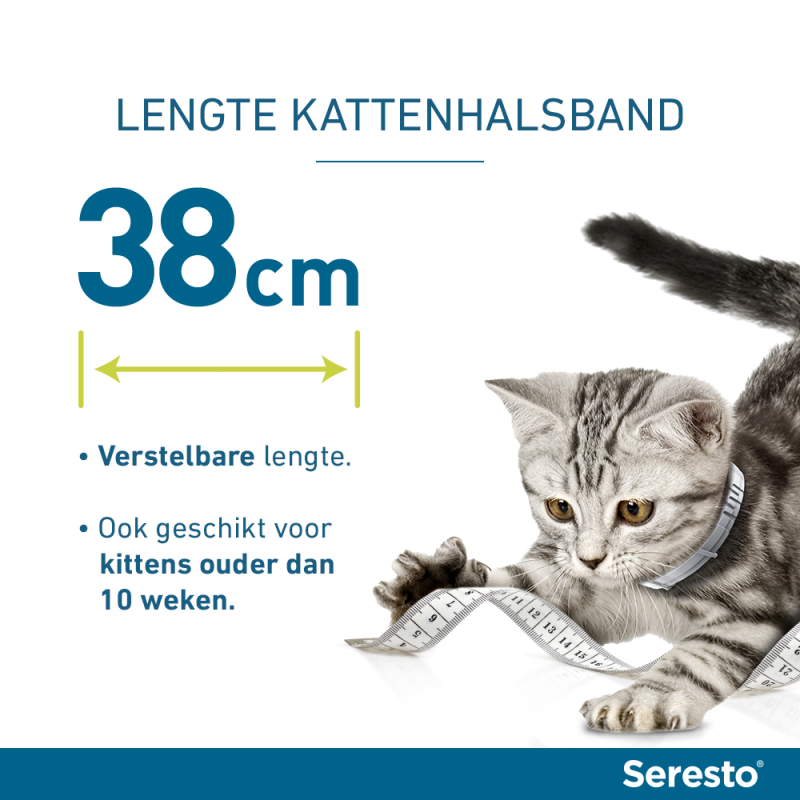 Seresto halsband voor Dierenverblijf.com
