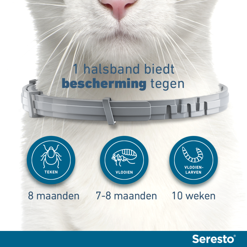 Seresto halsband voor Dierenverblijf.com