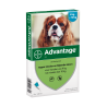Advantage 100 voor honden van 4 tot 10kg
