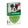 Advantage 250 voor honden van 10 tot 25kg