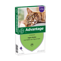 Advantage 80 voor katten vanaf 4kg