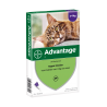 Advantage 80 voor katten vanaf 4kg