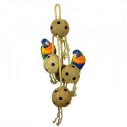 Back Zoo Nature Coconut Chain - XL