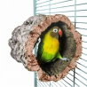 Back Zoo Nature Trunkhut Kruk - Medium
