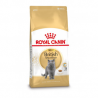 Royal Canin Britisch Shorthair Adult - 4 kg