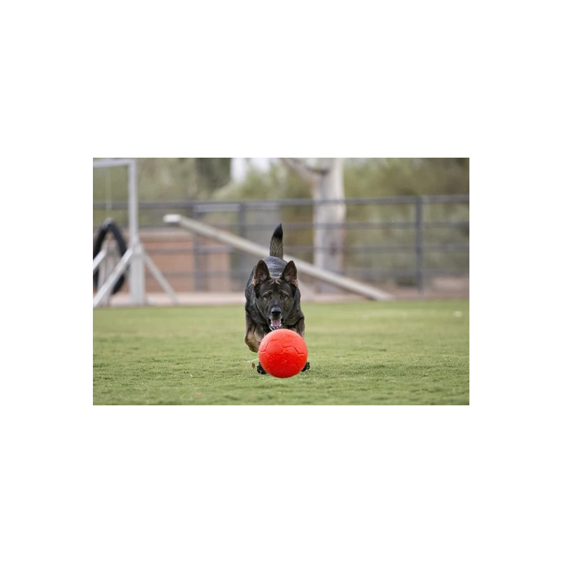 Jolly Soccer Ball Oranje kopen Dierenverblijf