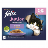 Felix Elke Dag Feest Kitten Mix Selectie in Gelei 12x85gr