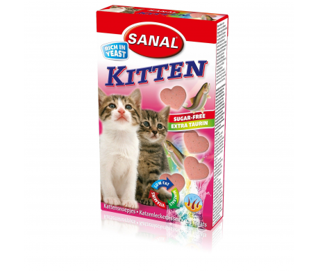 Sanal kitten