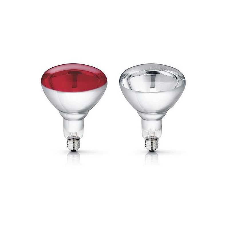 Philips Warmtelamp Hardglas | Dierenverblijf.com