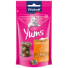 Vitakraft Cat Yums - Kip en Kattengras
