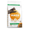 Iams Zalm en kip