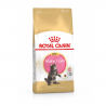 Royal Canin Maine Coon Kitten - 400 gram