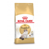 Royal Canin Ragdoll Adult - 2 kg
