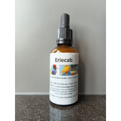 Sjoerd Zwart Eriecab (voorheen Anti-Bacterië)