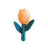Pawstory Royal Tulip