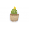 Beeztees Catnip Cactus Oria