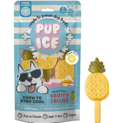 Pup Ice Fruitlollie - Ananas