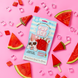 Pup Ice Fruitlollie - Watermeloen
