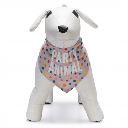 Beeztees Party Bandana