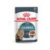 Royal Canin Kat Hairball Care in Gravy