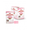 Royal Canin Kitten Loaf - Kitten-Kattenvoer - 12x85 g