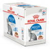 Royal Canin Kat Indoor in Gravy 12x85gr