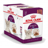 Royal Canin Kat Sensory Feel in Gravy 12x85gr