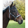 Vliegenfrontriem pony