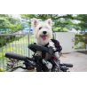 Buddyrider
