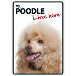 Poodle Lives here