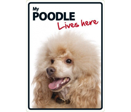 Poodle Lives here Poodle Lives here