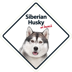 Autobordje - Siberian Husky On Board