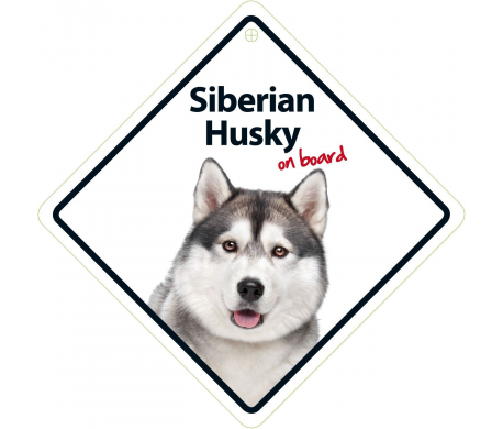 Autobordje - Siberian Husky On Board