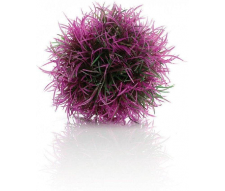 Color ball paars Color ball paars